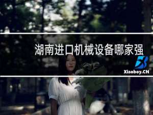 湖南进口机械设备哪家强