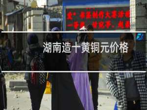 湖南造十黄铜元价格