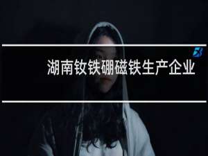 湖南钕铁硼磁铁生产企业