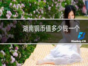 湖南铜币值多少钱一个