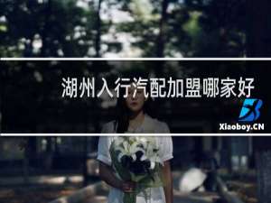 湖州入行汽配加盟哪家好