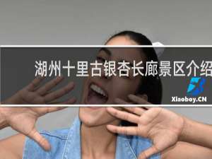 湖州十里古银杏长廊景区介绍