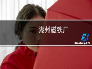湖州磁铁厂