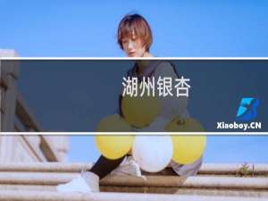 湖州银杏