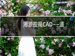 湘源控规CAD——道路工具有哪些？