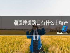 湘潭建设路口有什么土特产