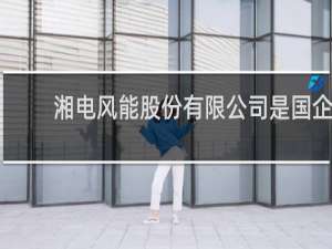 湘电风能股份有限公司是国企吗