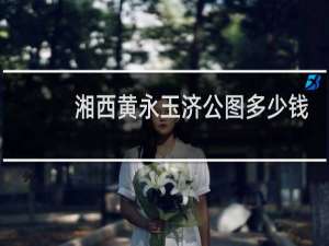 湘西黄永玉济公图多少钱