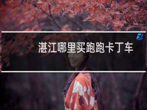 湛江哪里买跑跑卡丁车