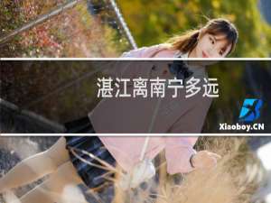 湛江离南宁多远