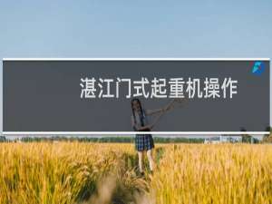 湛江门式起重机操作