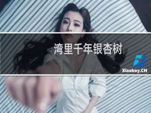 湾里千年银杏树