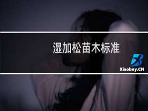 湿加松苗木标准