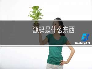 源码是什么东西