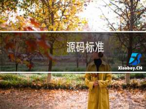 源码标准