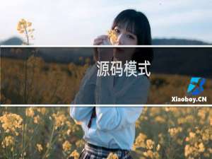 源码模式