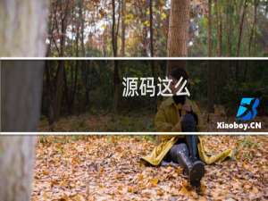 源码这么