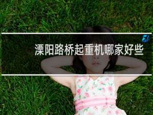 溧阳路桥起重机哪家好些