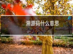 溯源码什么意思