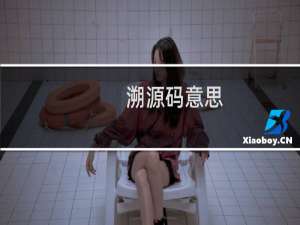 溯源码意思
