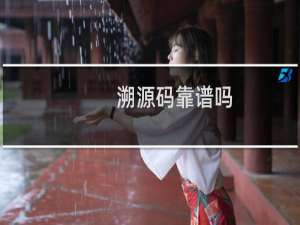 溯源码靠谱吗