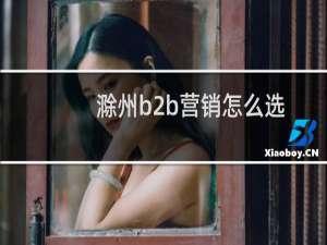 滁州b2b营销怎么选