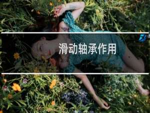 滑动轴承作用