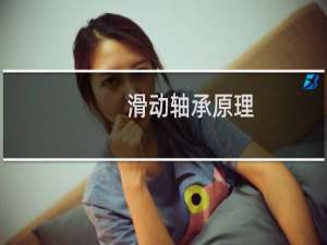 滑动轴承原理