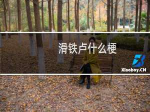 滑铁卢什么梗