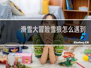 滑雪大冒险雪狼怎么遇到