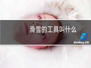 滑雪的工具叫什么