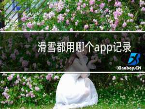 滑雪都用哪个app记录