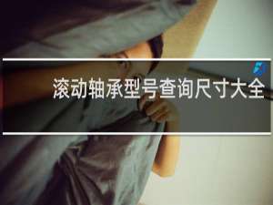 滚动轴承型号查询尺寸大全