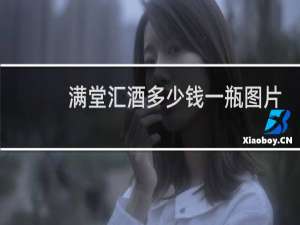 满堂汇酒多少钱一瓶图片