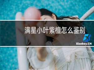 满星小叶紫檀怎么鉴别