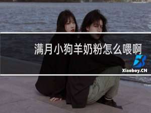 满月小狗羊奶粉怎么喂啊
