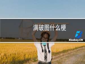 满破图什么梗
