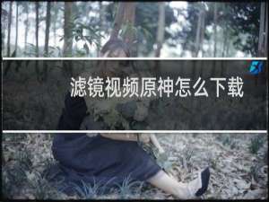 滤镜视频原神怎么下载