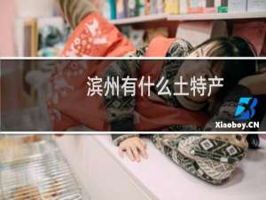 滨州有什么土特产