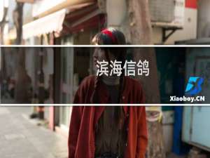 滨海信鸽