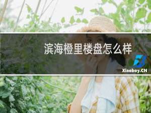 滨海橙里楼盘怎么样