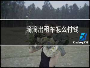 滴滴出租车怎么付钱