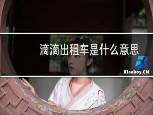 滴滴出租车是什么意思