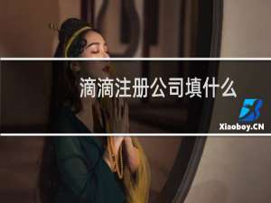 滴滴注册公司填什么
