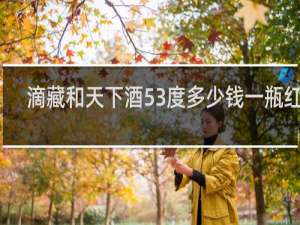 滴藏和天下酒53度多少钱一瓶红瓶