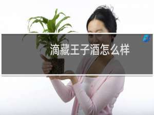 滴藏王子酒怎么样