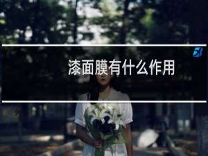 漆面膜有什么作用