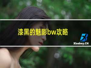 漆黑的魅影bw攻略