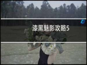 漆黑魅影攻略5.0