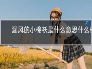 漏风的小棉袄是什么意思什么梗